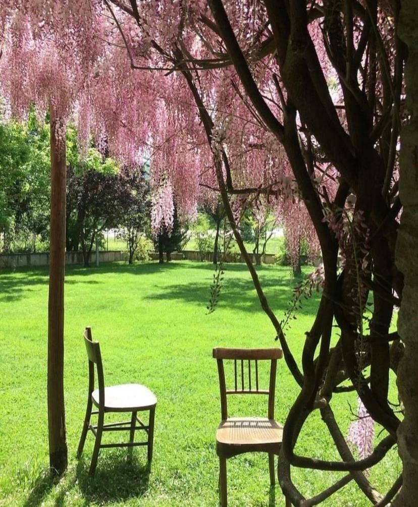 La Taverna Fra Le Colline Ареццо Экстерьер фото